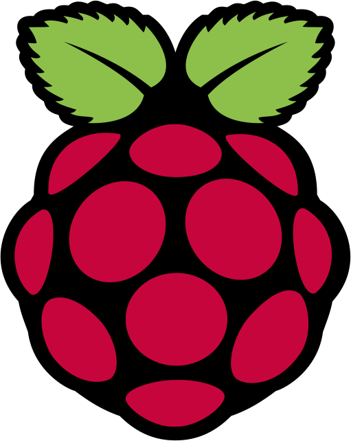 Raspberry pi logo